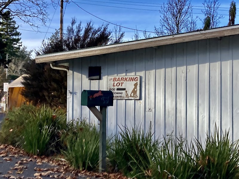 Photo of Barking Lot