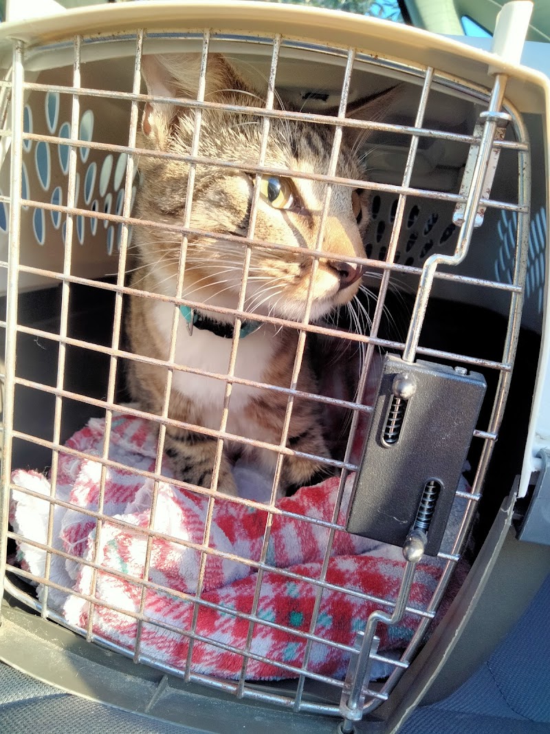Hays Towne Veterinary Hospital photo 2