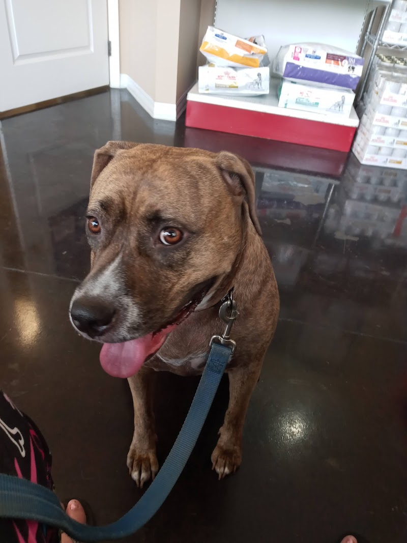 Hays Towne Veterinary Hospital photo 4