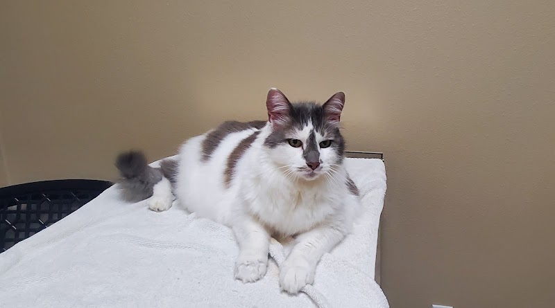 Hays Towne Veterinary Hospital photo 3