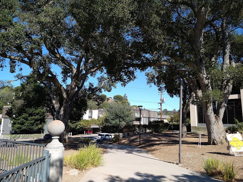 Belameda Park photo 2