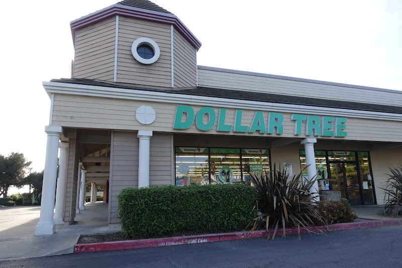Dollar Tree photo 4