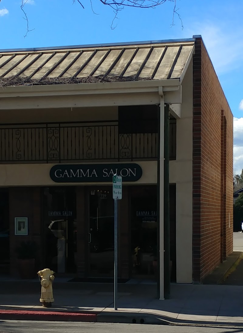 Gamma Salon photo 4