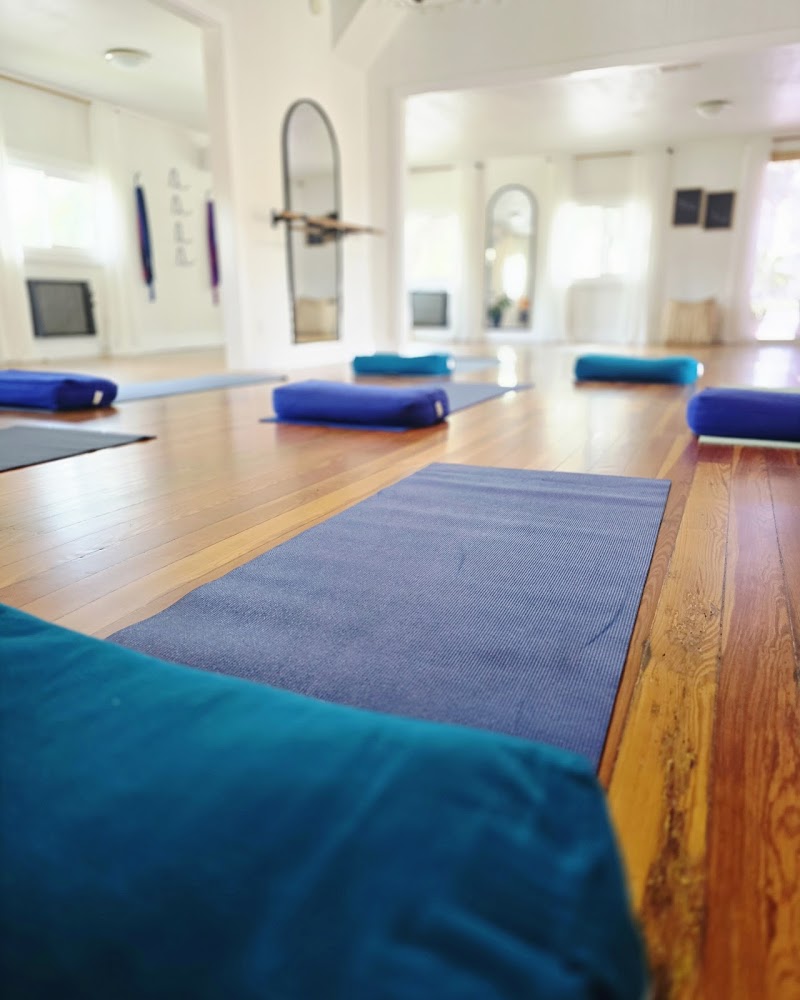 Photo of Flow Yoga Studio