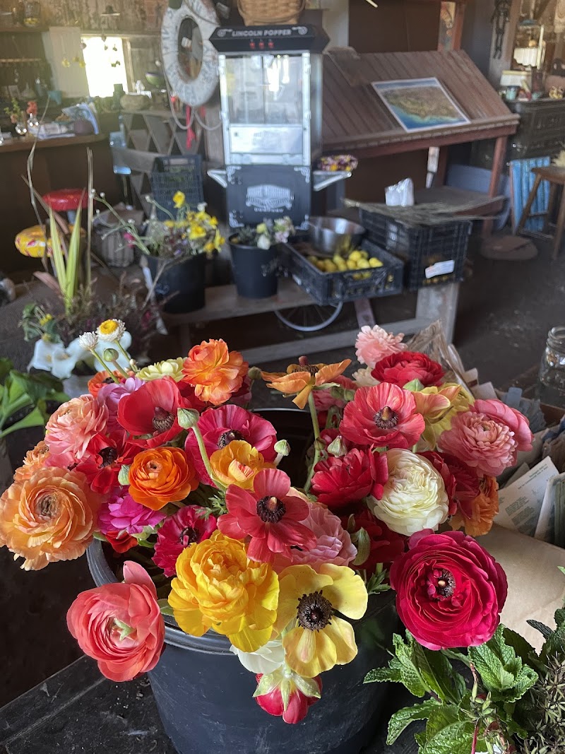 Bohemian Flowers & Farmstand photo 2