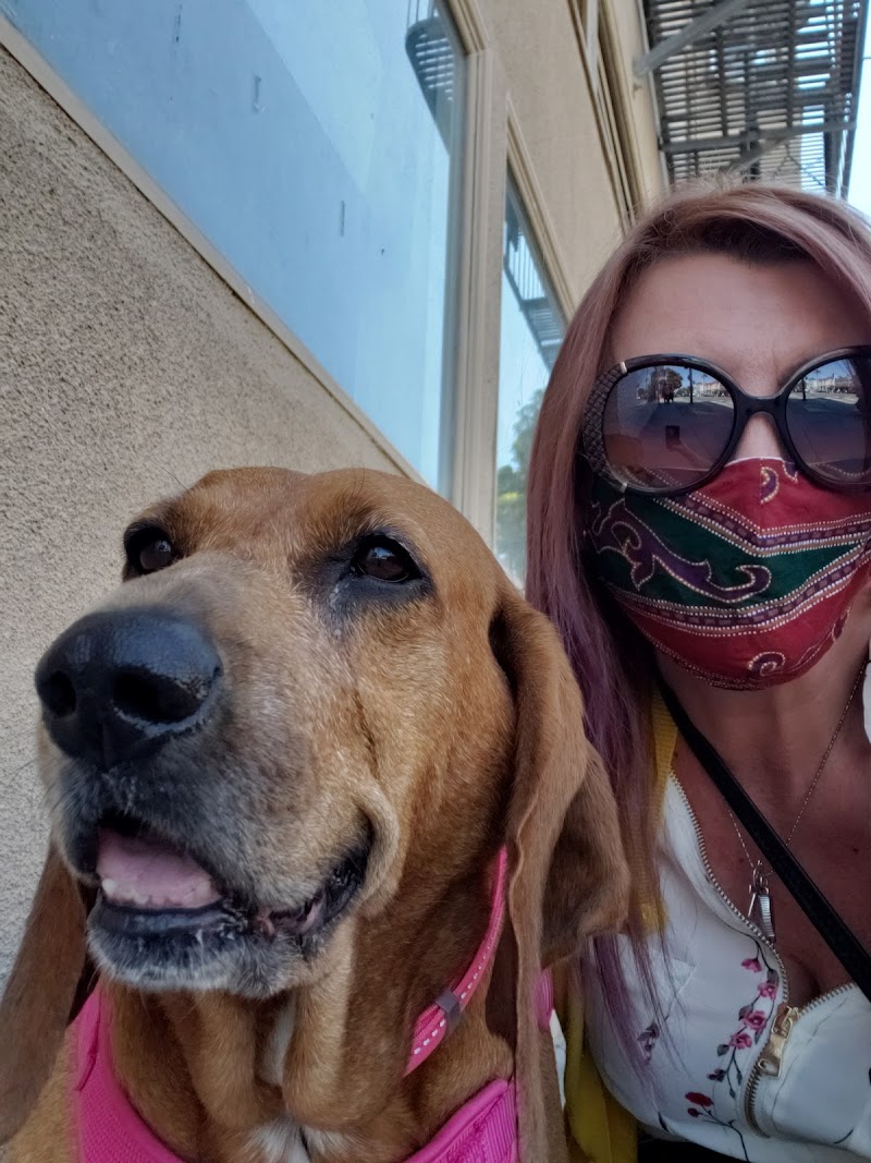 LoLo's San Francisco Pet Sitting photo 2