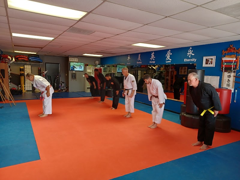 Photo of Martial Arts School of Survival