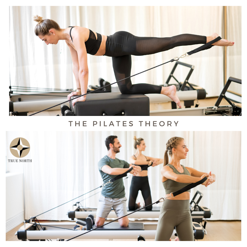 The Pilates Theory photo 3