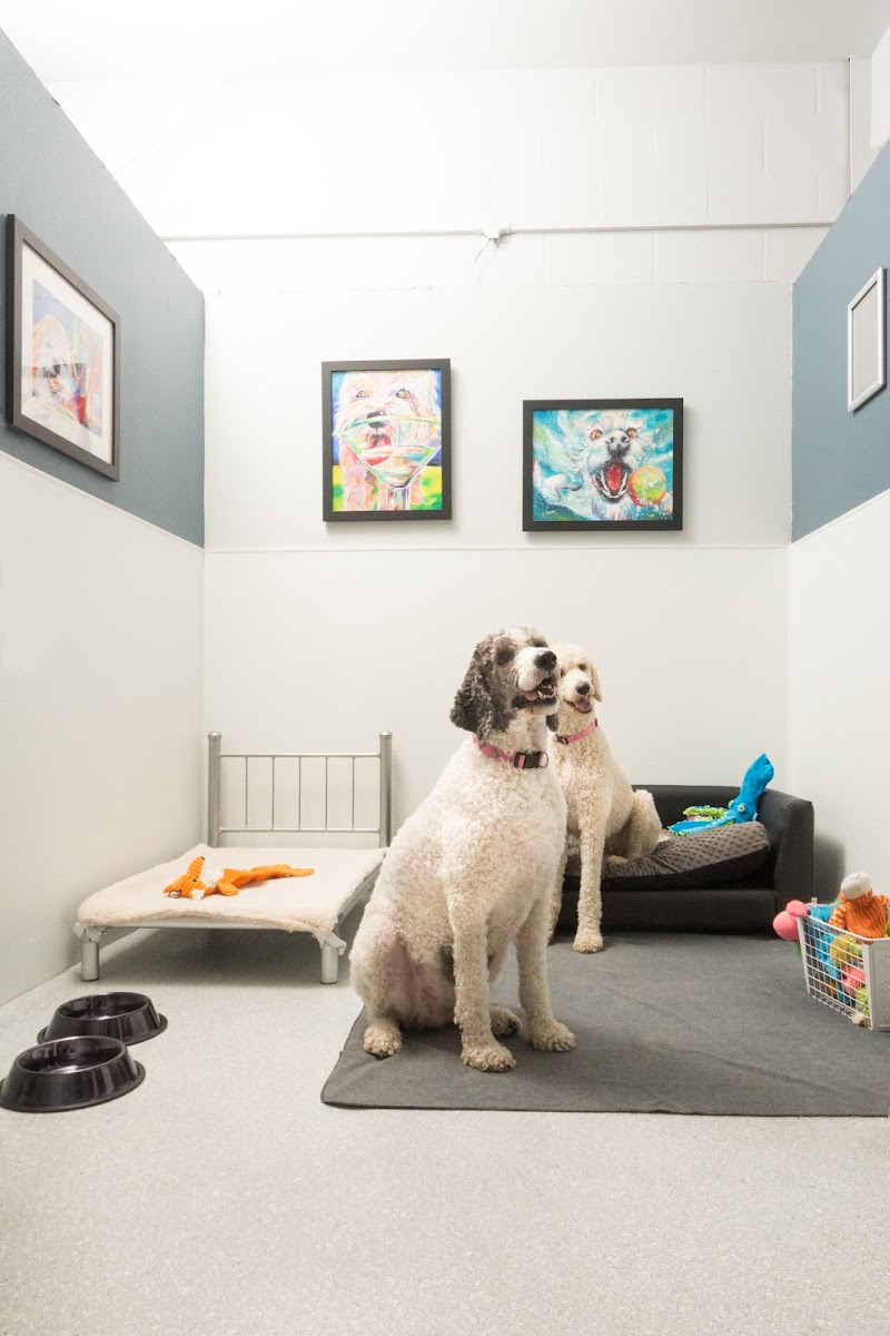 Bay Paws Pet Resort - Clearwater