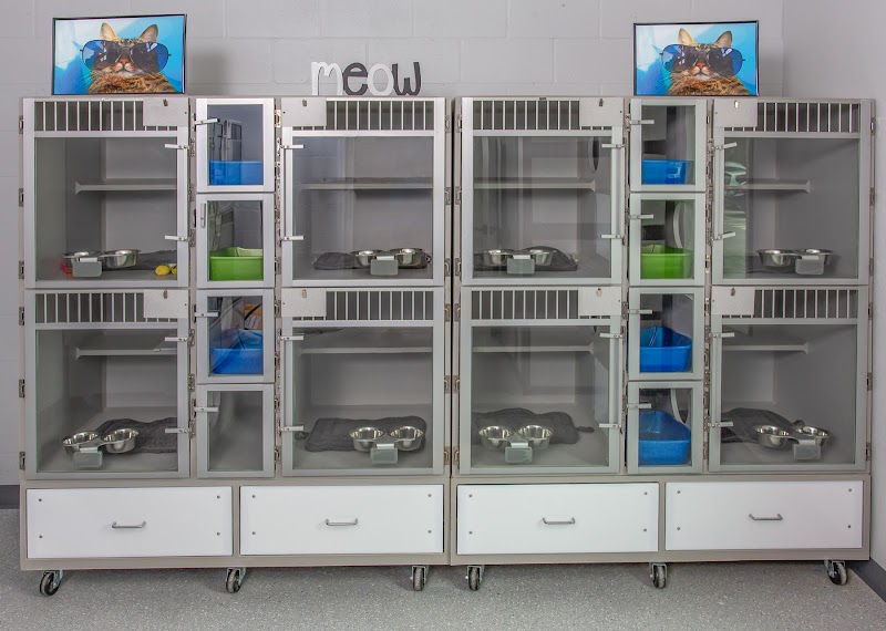 Bay Paws Pet Resort - Clearwater photo 5