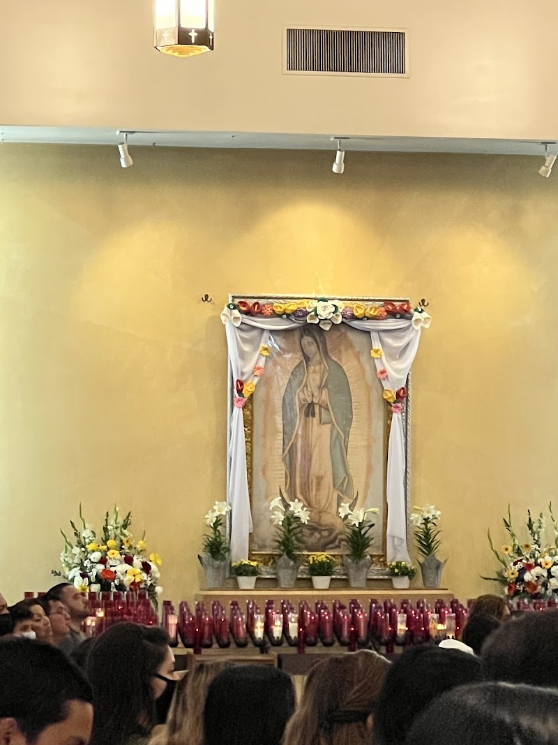 St Francis of Assisi Church photo 3