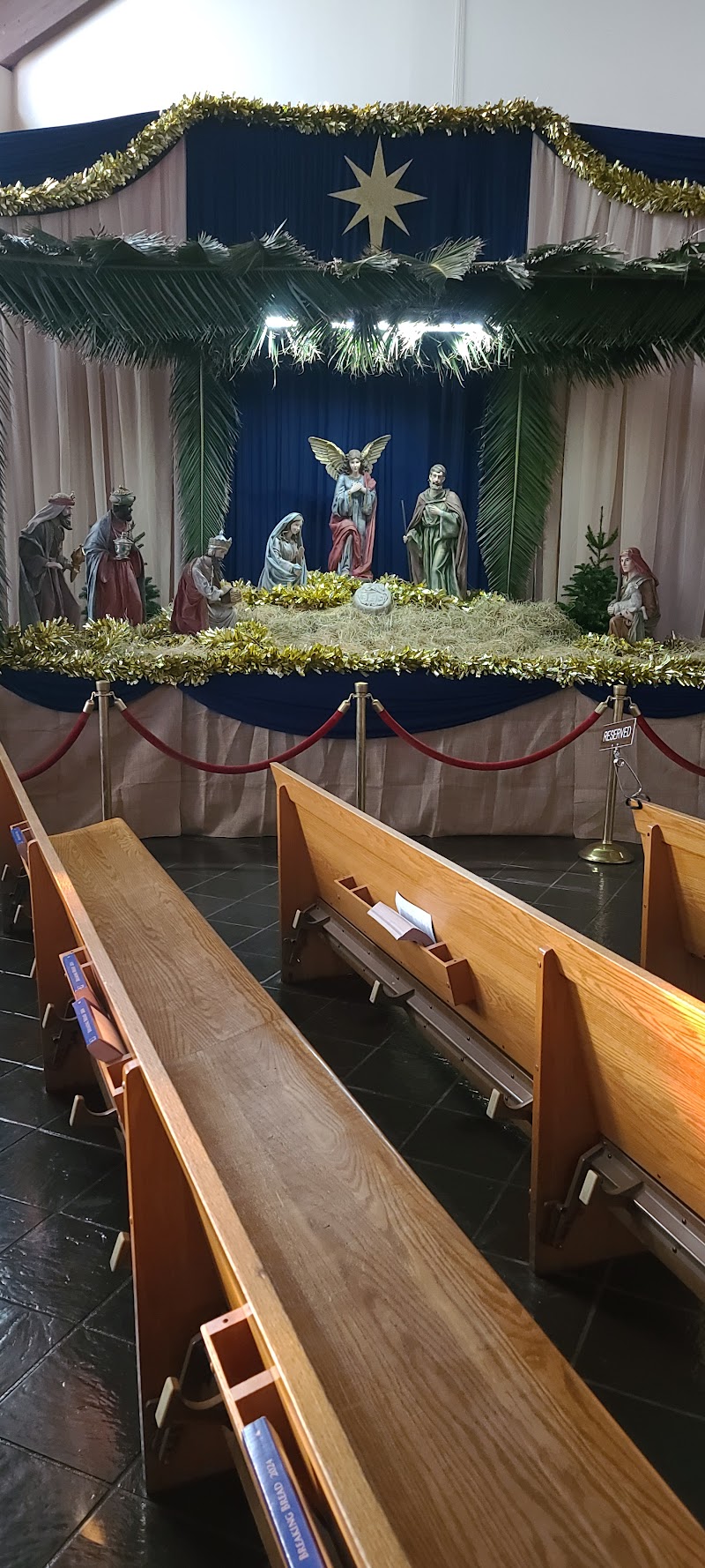 St Francis of Assisi Church photo 4