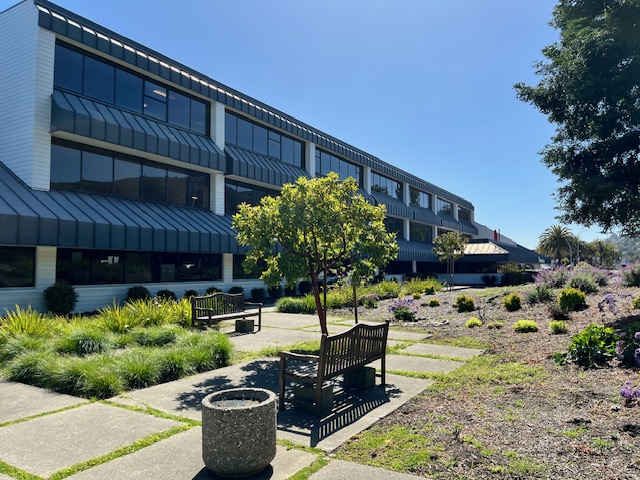 The Armstrong Law Firm - Sausalito photo 3