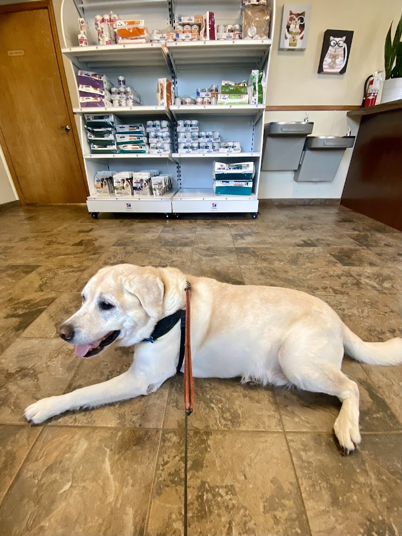 Photo of Fox & Friends Animal Hospital