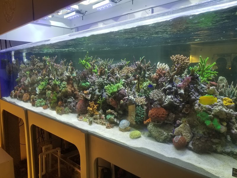The Coral Corral photo 4