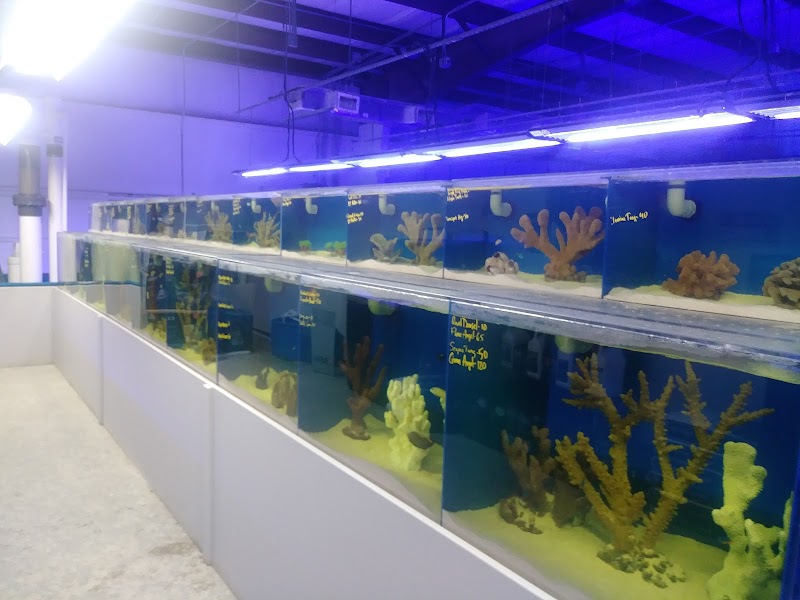The Coral Corral photo 3