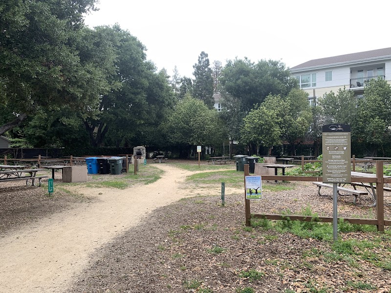 Photo of Picnic Area | Central Park