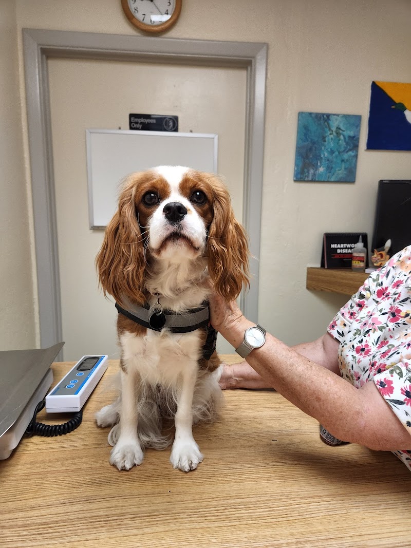 Photo of Kennel Care Veterinary Hospital