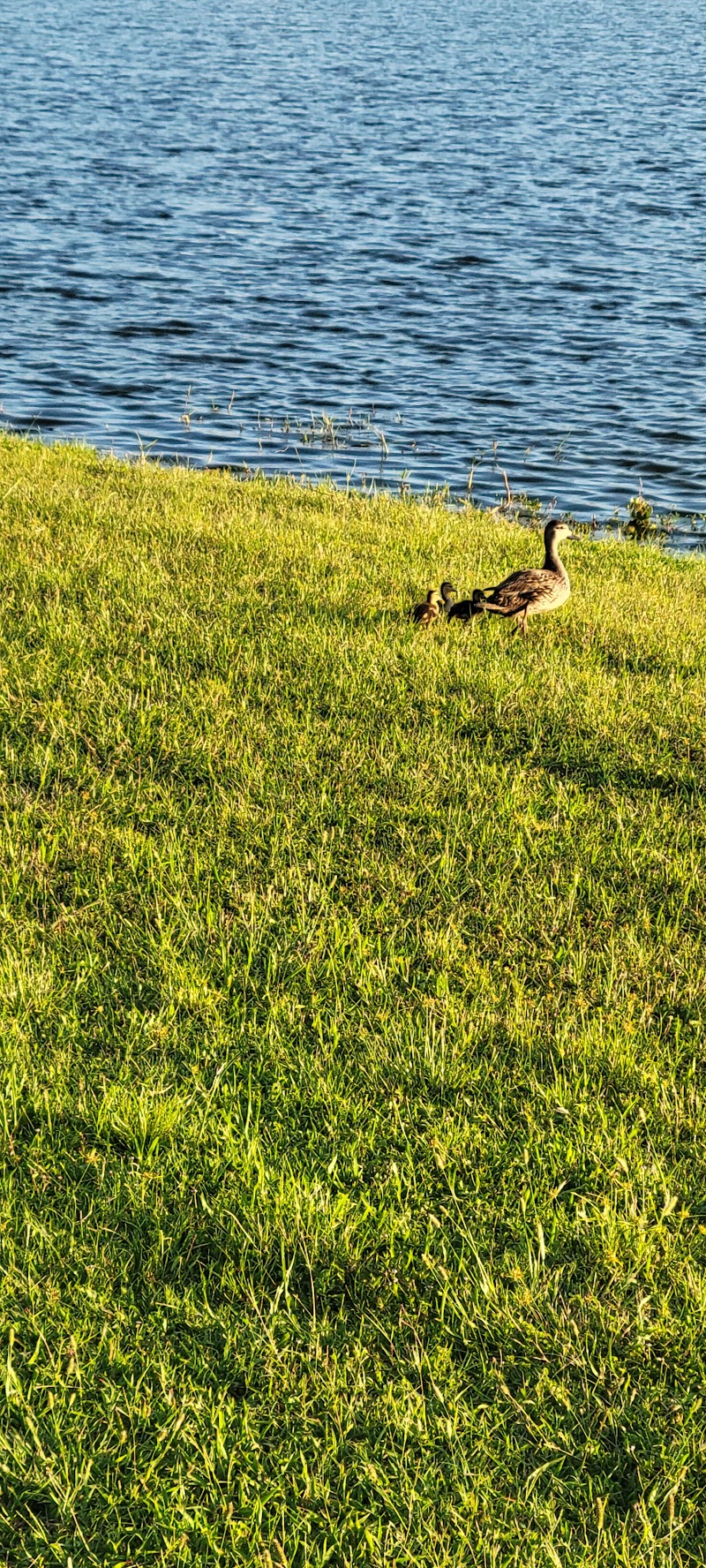 Clublink US Corporation photo 5