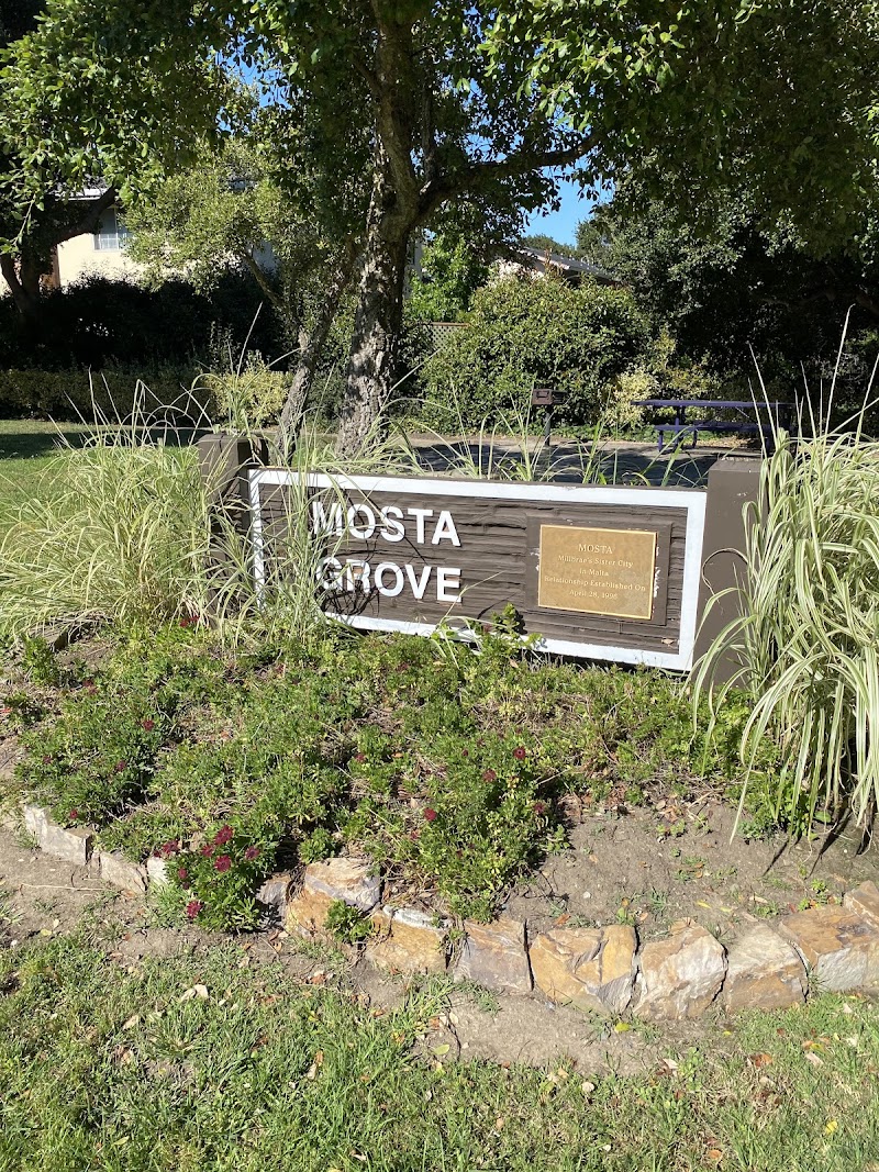 Photo of Mosta Grove