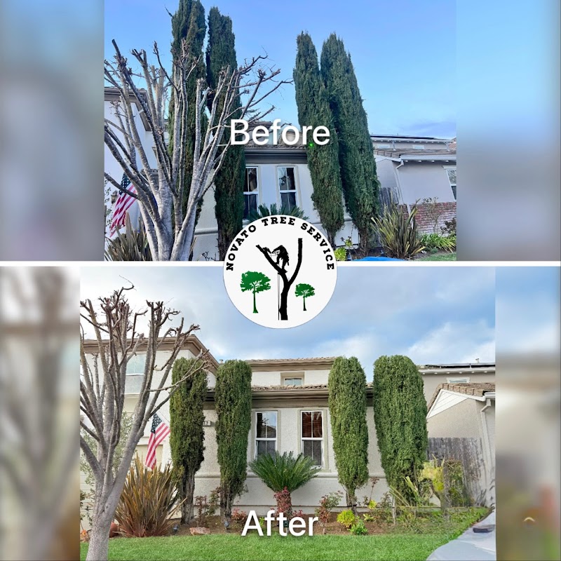 Novato Tree Service Company photo 3