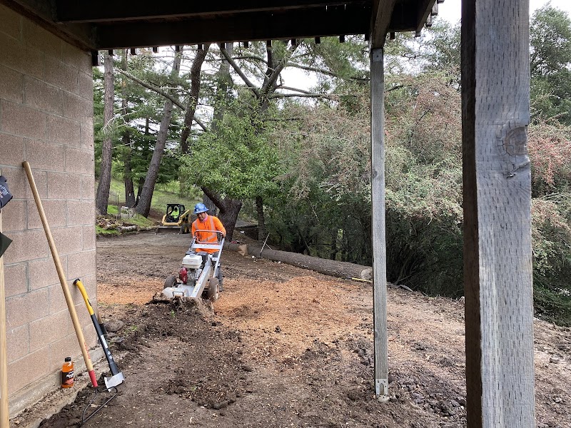 Novato Tree Service Company photo 4