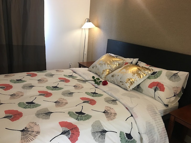 Amsterdam Painting & Decorating photo 3