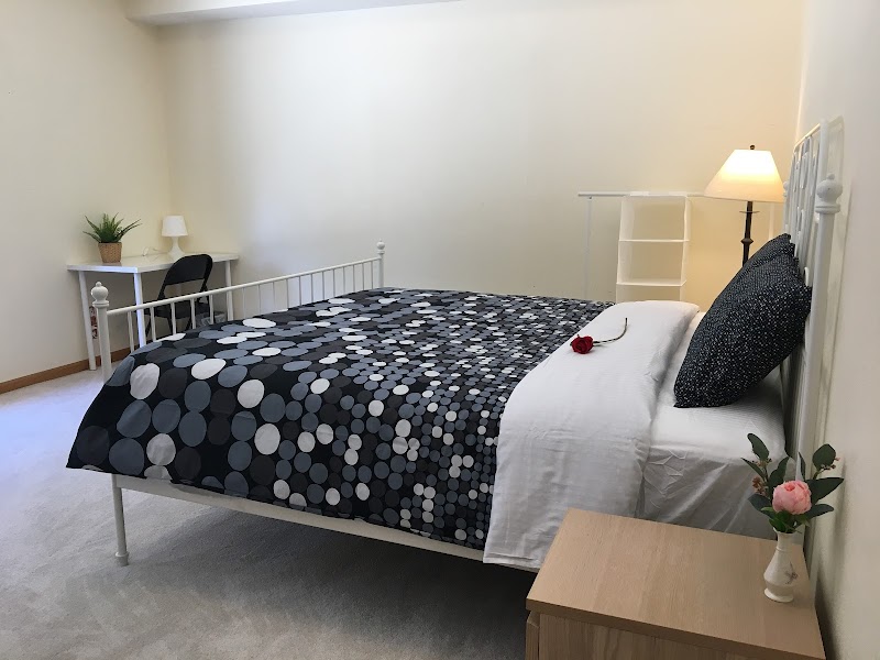 Photo of Amsterdam Painting & Decorating