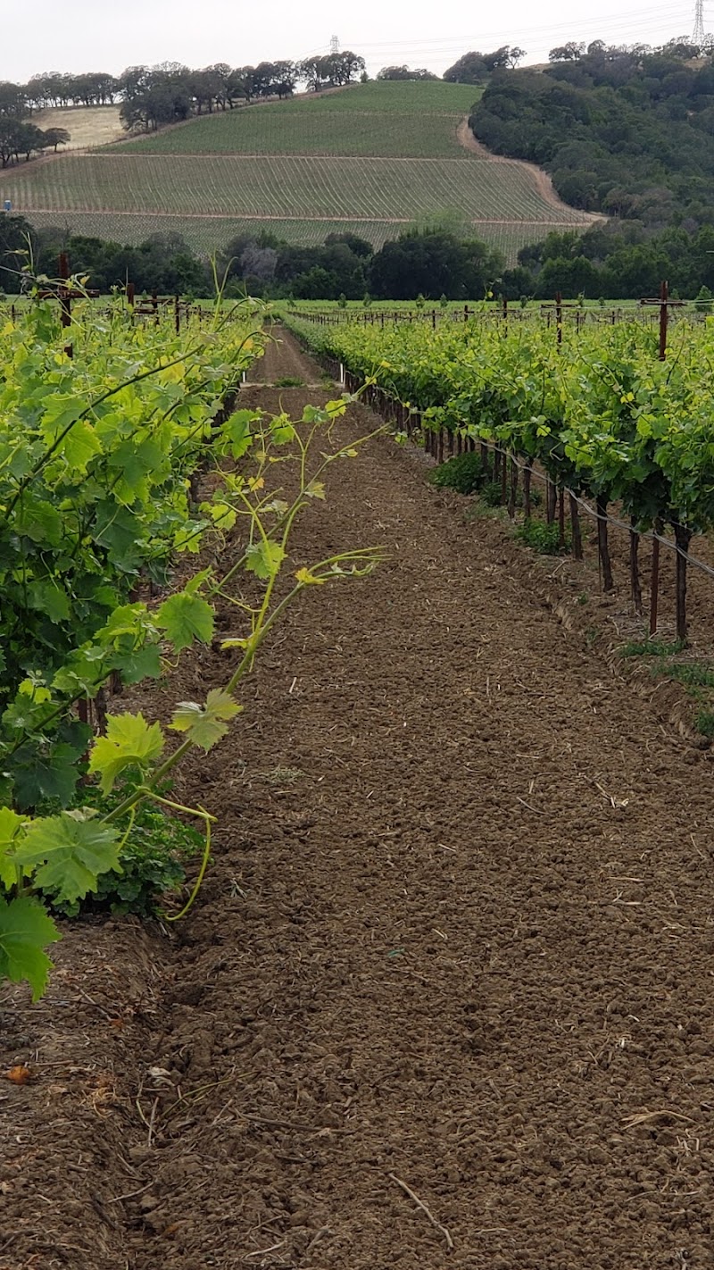 Wedgewood VIntners photo 5