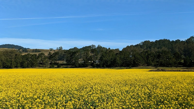 Photo of Hwy 1 & Grand Dr
