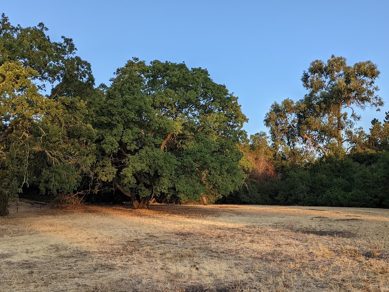 Frenchman's Park photo 2