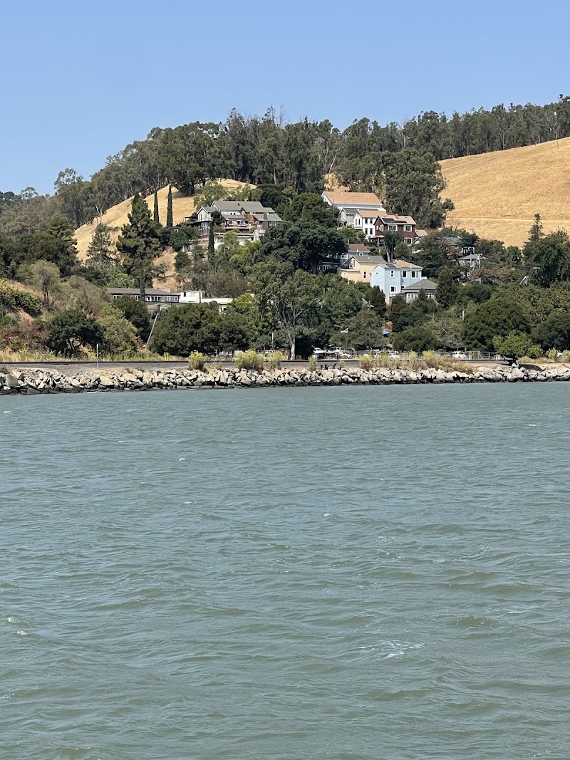 Photo of Benicia Marina Entrance - Green Marker (West)