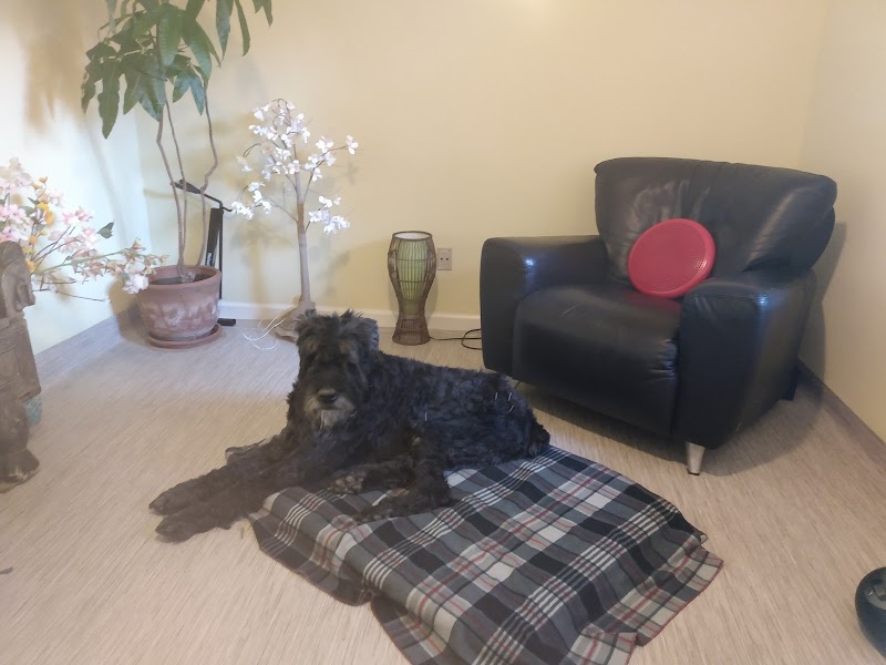 Animal Healing Arts - Lisa Pesch Marinho, DVM photo 4