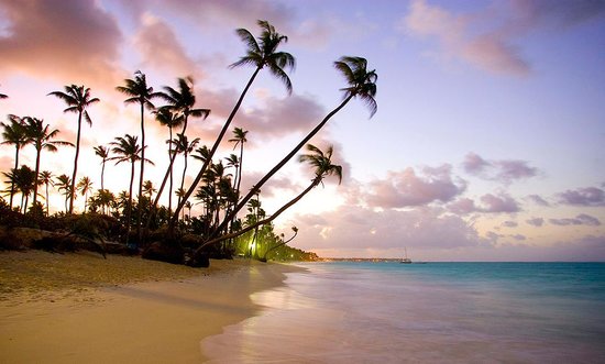 Photo of Mary Plans Vacation LLC