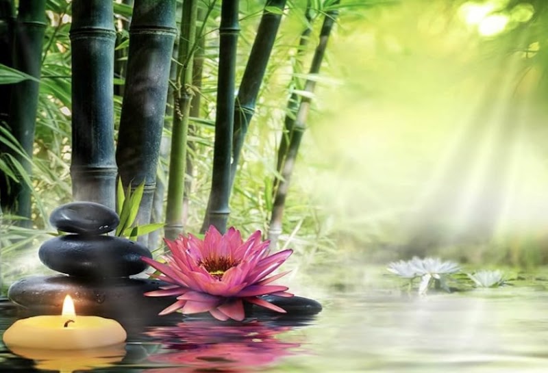 Photo of Almaden Foot Spa