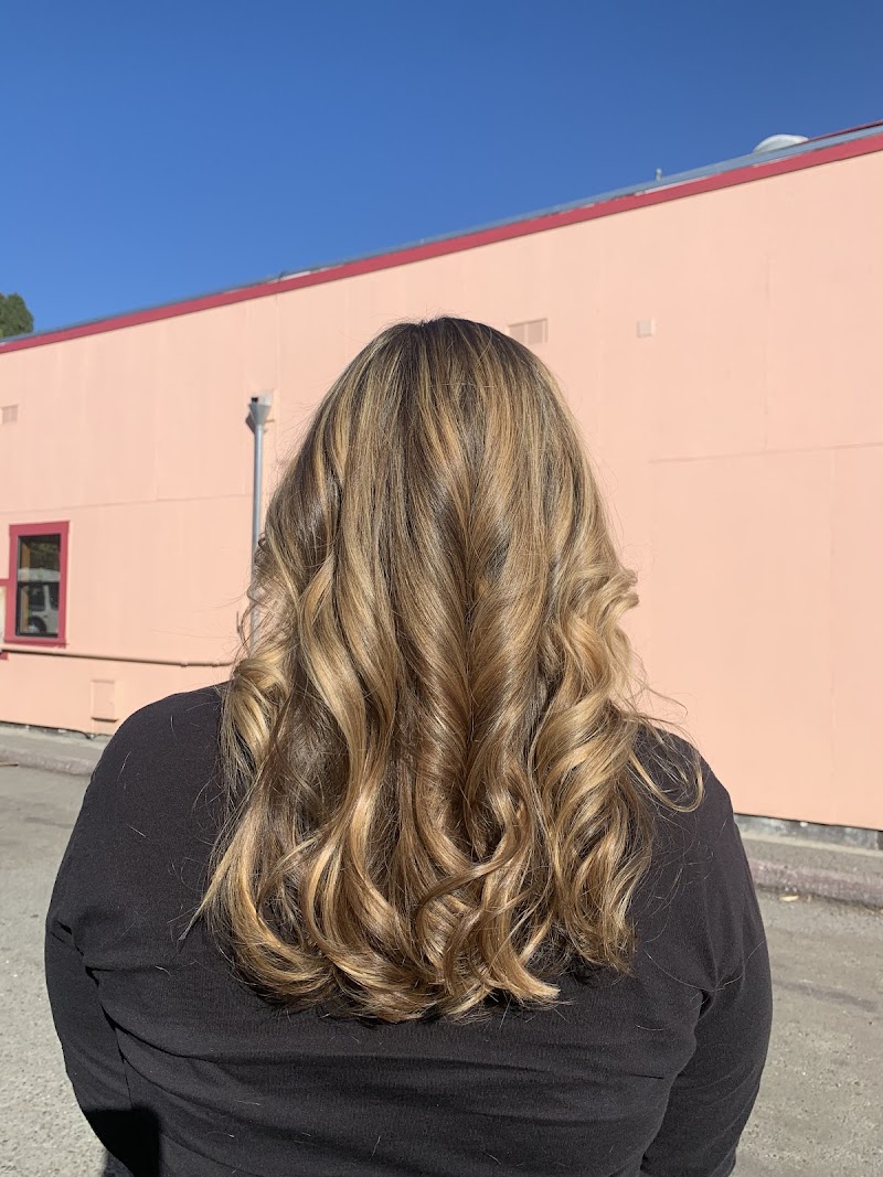 Chelsea Healey Hair Color Specialist/Stylist Extraordinaire photo 2