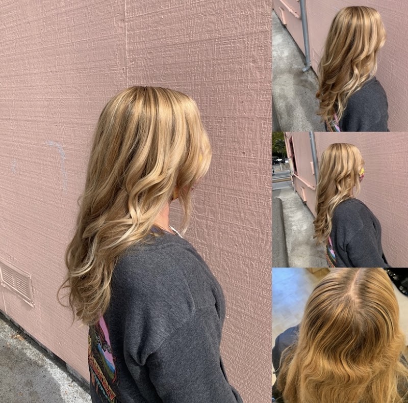 Chelsea Healey Hair Color Specialist/Stylist Extraordinaire photo 5