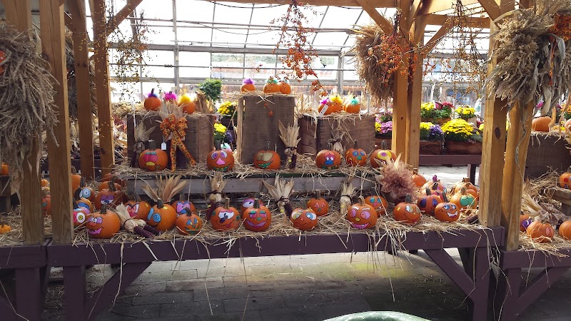 Sunnyside Gardens photo 5