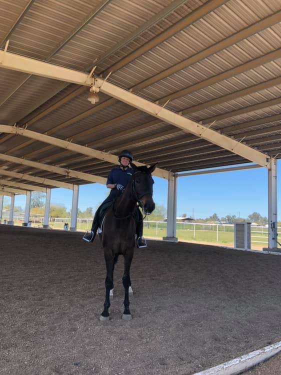 Central Arizona Riding Academy photo 2