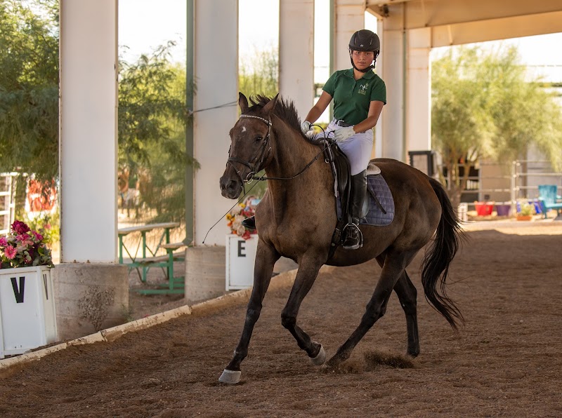 Central Arizona Riding Academy photo 4