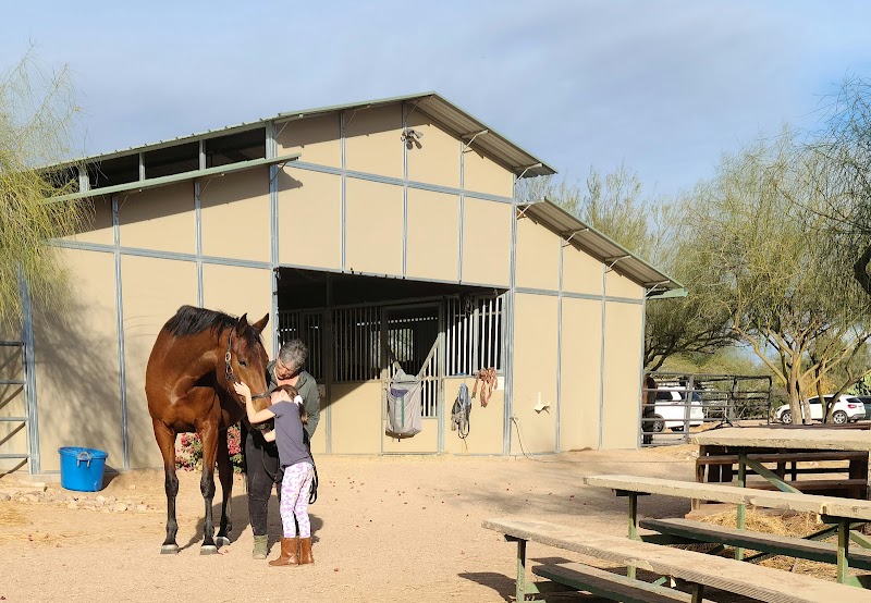 Central Arizona Riding Academy photo 3