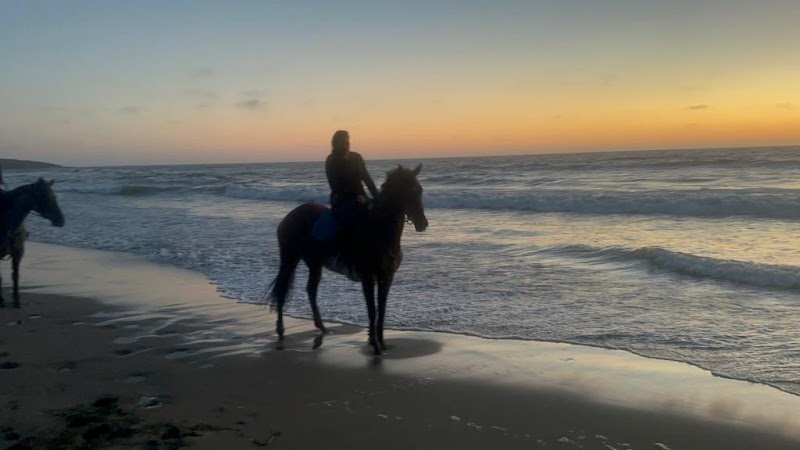Equestrian Games Riding Academy photo 2