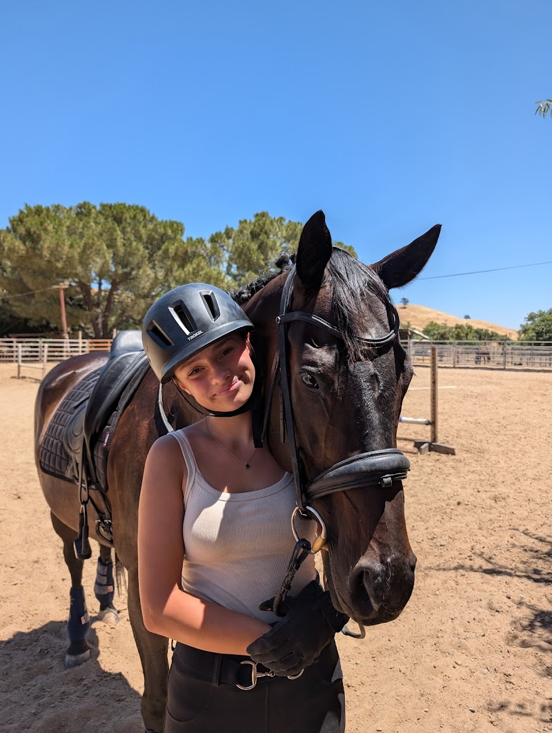 Equestrian Games Riding Academy photo 3