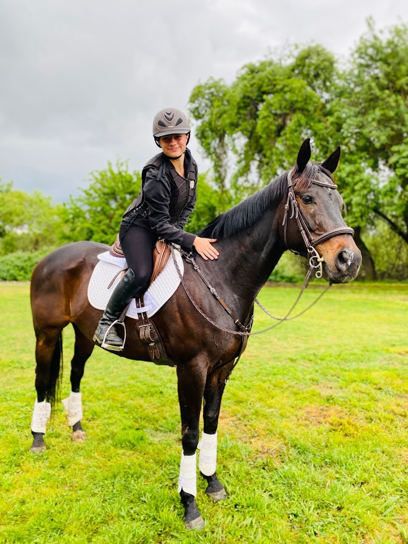 Equestrian Games Riding Academy photo 4