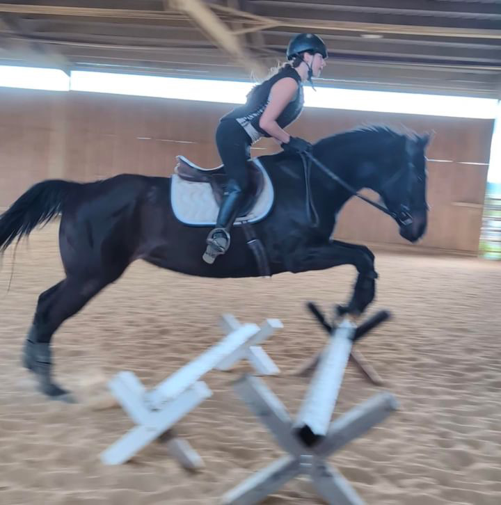 Equestrian Games Riding Academy photo 5