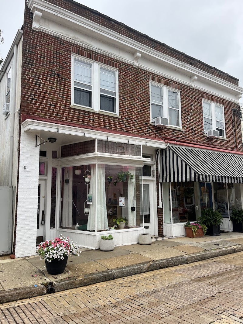 Annapolis juice shop (formerly RASA) photo 5