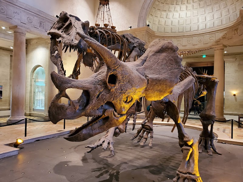 Photo of Natural History Museum of Los Angeles County