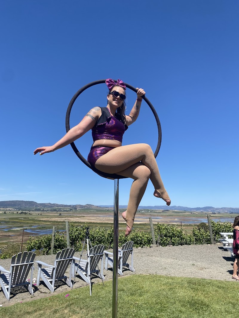 Napa Aerial Fitness photo 4