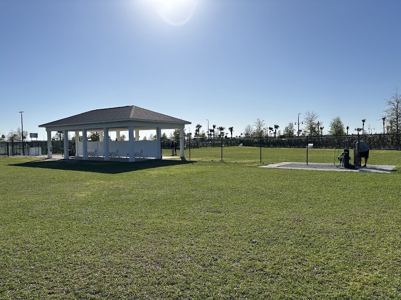 Photo of Sophie Doodles Canine Park