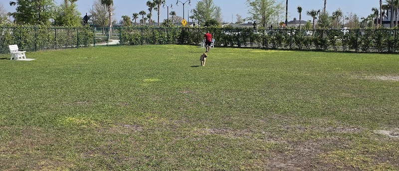 Sophie Doodles Canine Park photo 2